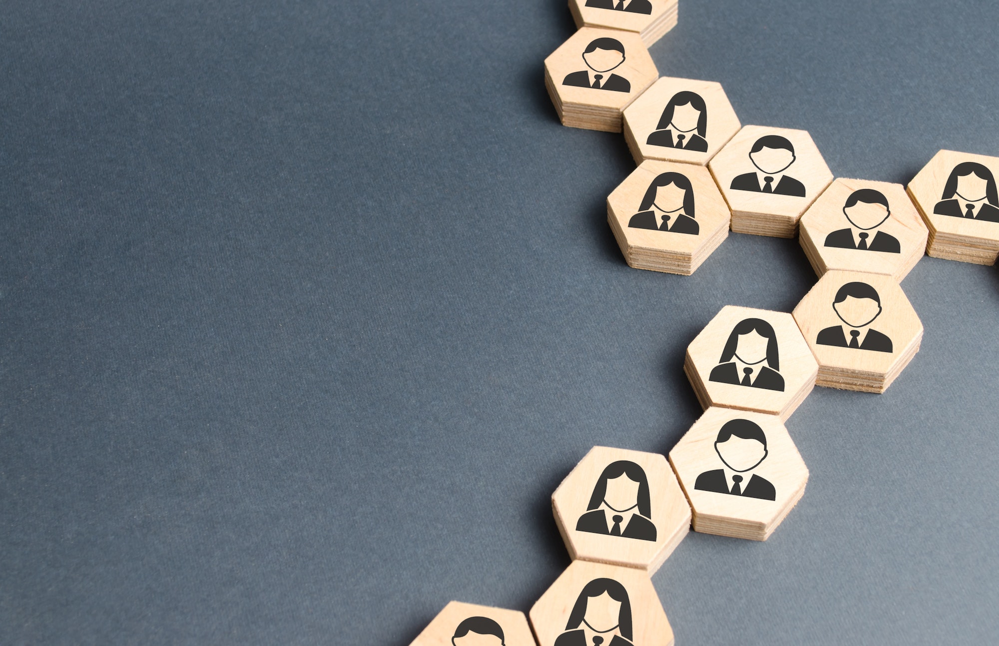 Symbols of employees on the chains of hexagons